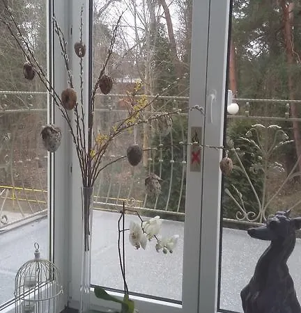 Comfort בית אירוח *